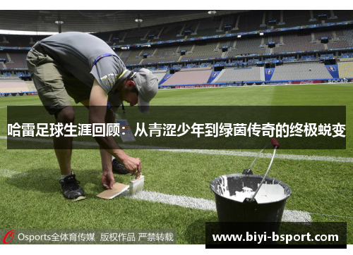 哈雷足球生涯回顾：从青涩少年到绿茵传奇的终极蜕变
